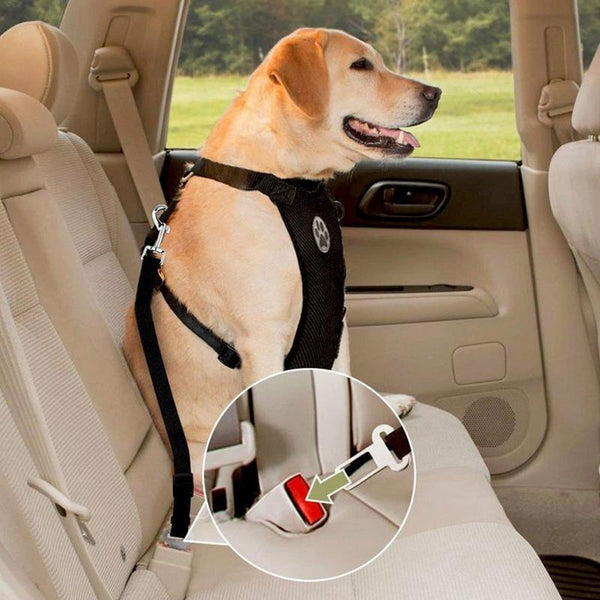 NEW Breathable Mesh Dog Harness Leash With Adjustable Straps Pet Harness With Car Automotive Seat Safety Belt Dog Chest Straps - ca'jjon