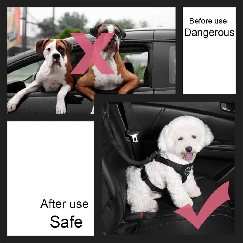 Pet Car Seat Belt Restraint Adjustable Puppy Safety Elastic Bungee Connect Dog Harness in Vehicle Travel Dog Reflective Leash - ca'jjon